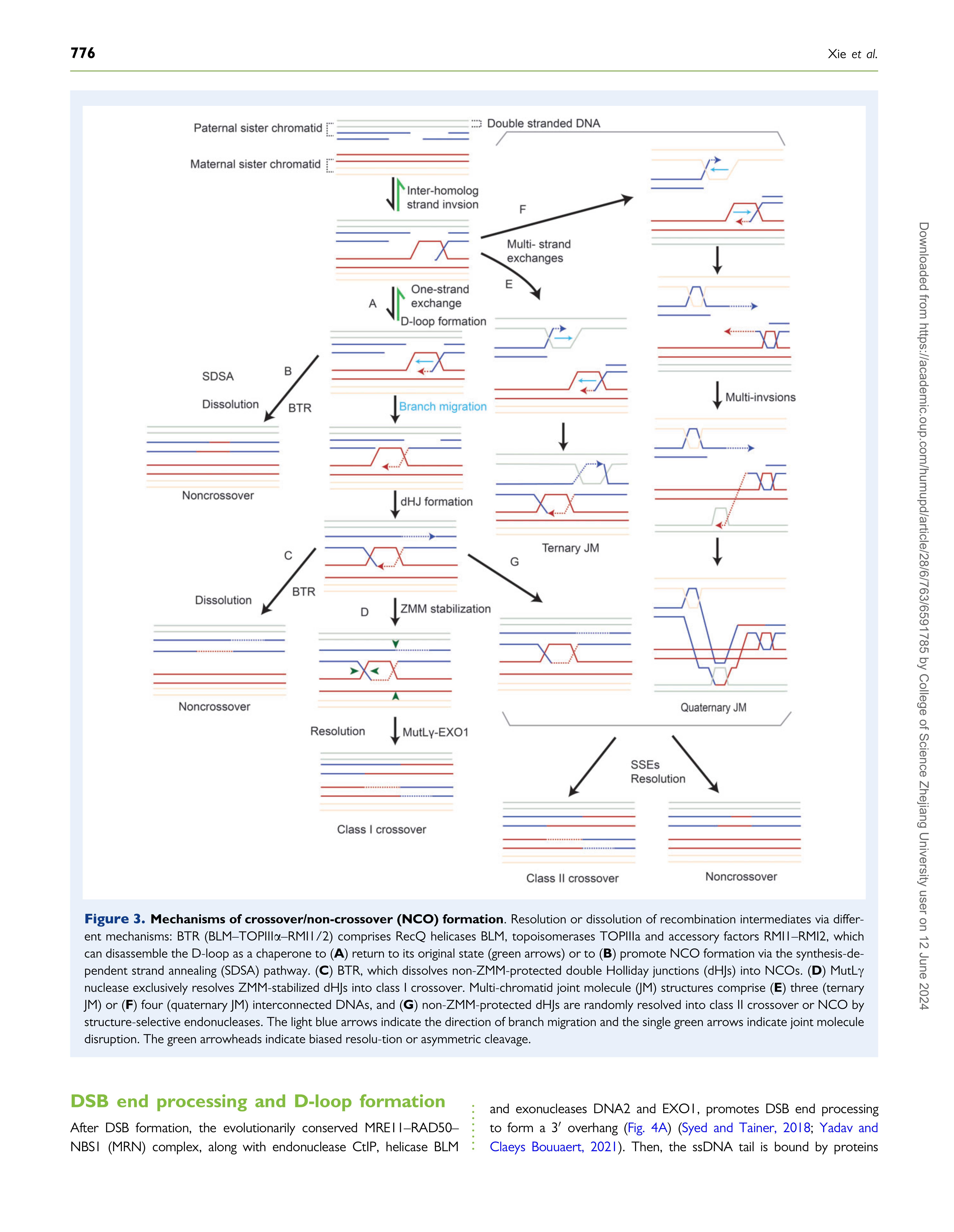 HUMAN REPRODUCTION UPDATE_14.jpg